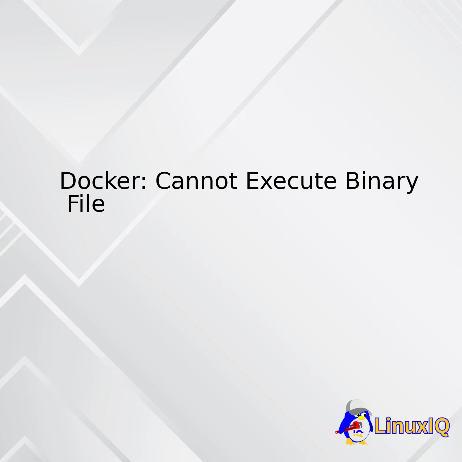 Docker: Cannot Execute Binary File