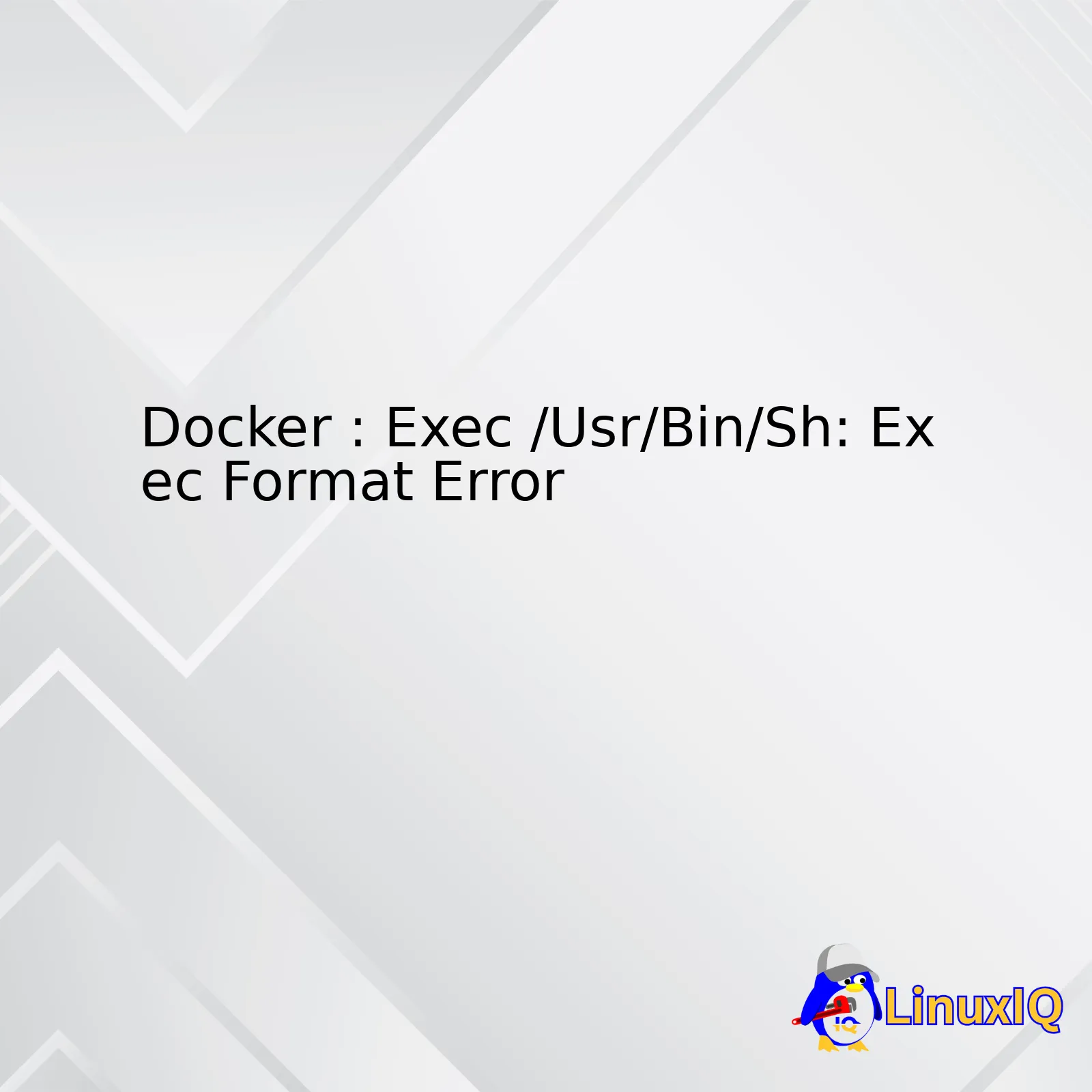 Docker : Exec /Usr/Bin/Sh: Exec Format Error