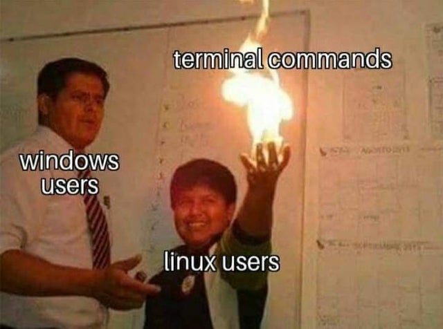 developer coding on Linux terminal - Based on true story.....! #window #linux #terminal #sudo ...