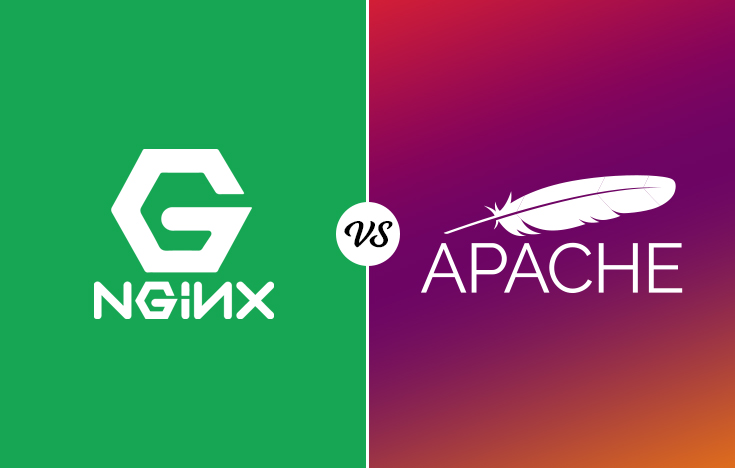 Apache Nginx logo - Nginx vs Apache: Which Is the Best Web Server for you?
