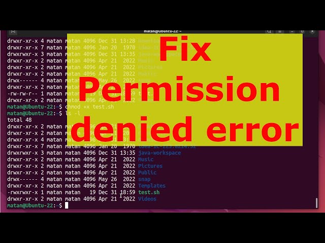 Linux terminal permission denied - How to fix Permission Denied Error in the Terminal and Command ...