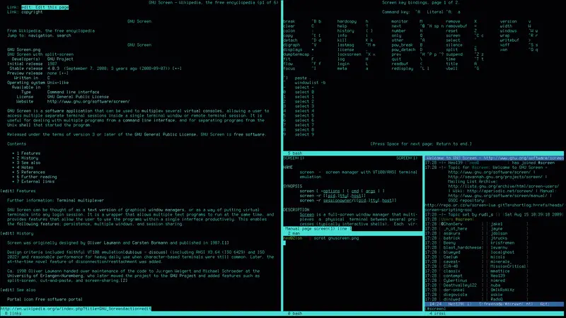 Linux terminal screen - How to Use Linux Screen to Get Multiple Terminals