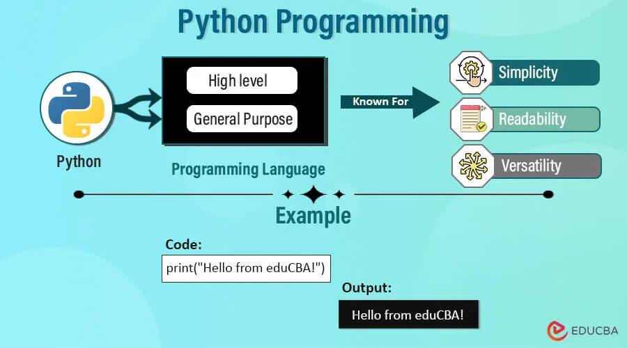 Python programming code - Python Programming | Boost Skills From Basics to Advanced