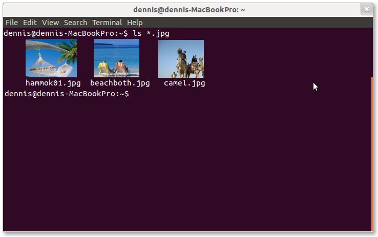Linux terminal command line - command line - How do I make my terminal display graphical ...